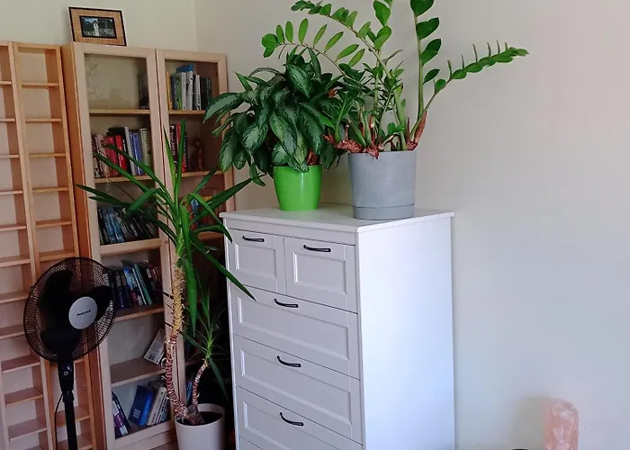 Lägenhet Nad Radunia